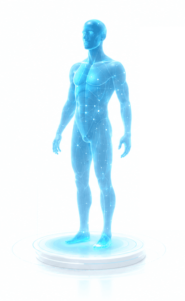 Preview of the patient's digital twin
